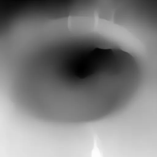 Depth map. A cat with wings and a snake tail floating in the air