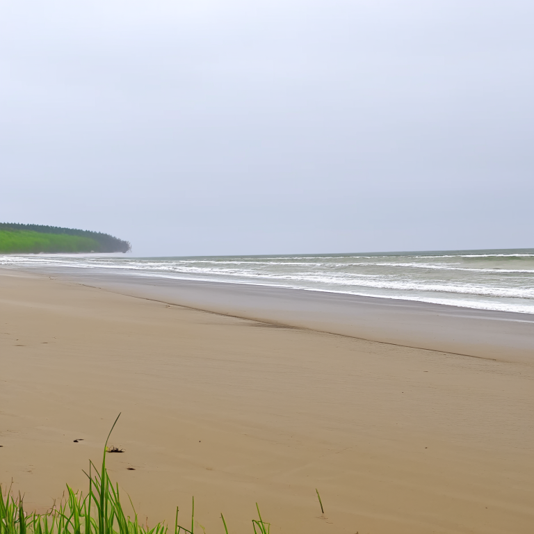 Fine drizzle ns beach