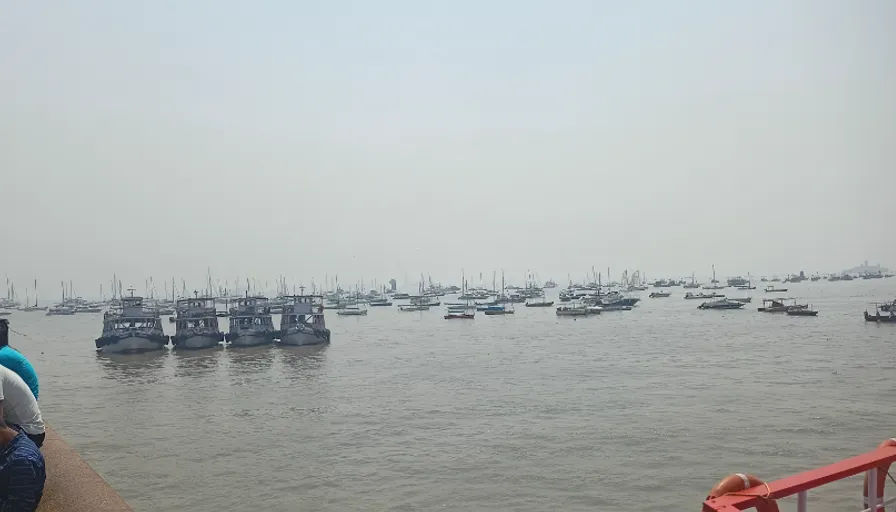 a large body of water filled with lots of boats