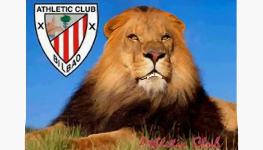 a lion laying in the grass with the athletic club logo in the background