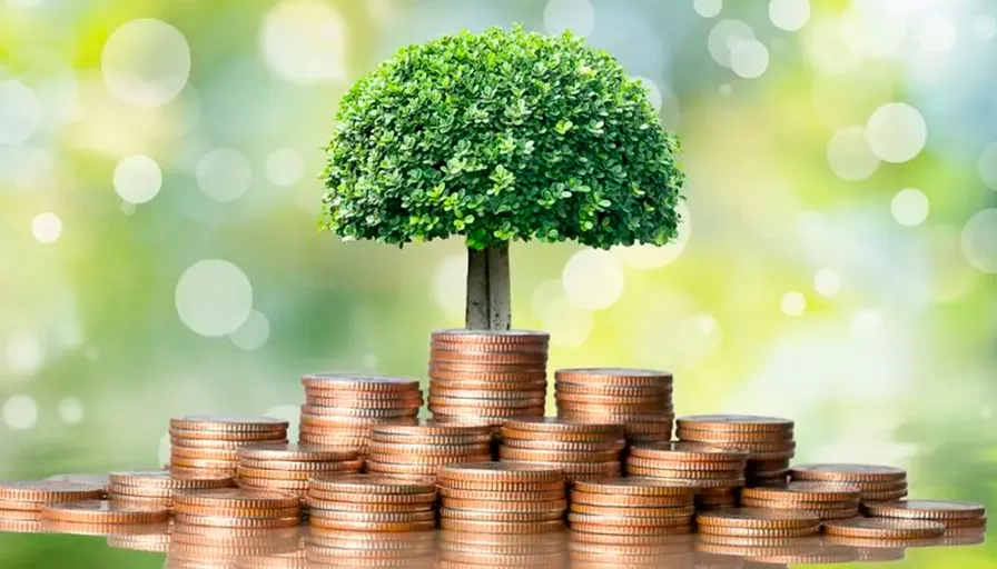 a tree on top of a pile of coins