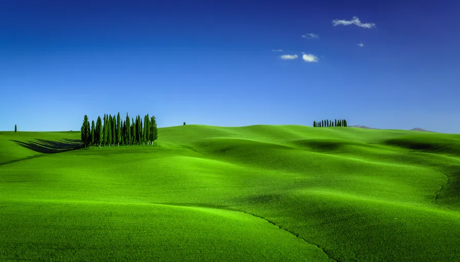 a green field with trees in the distance