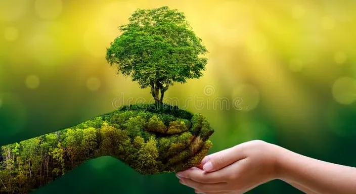 two hands are holding a small tree in the middle of a green field