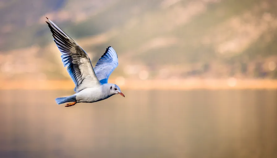 a blue and white bird flying over a body of water