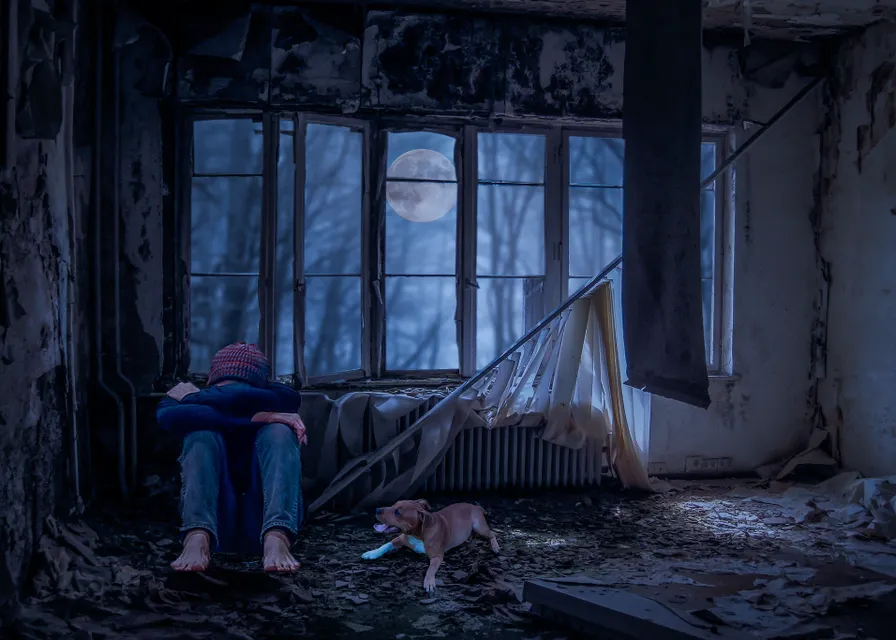 a person sitting in a room with a dog. wood, flash photography, art, tints and shades, darkness, city, flooring, stairs, painting, house