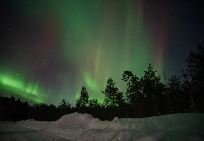 a green and purple aurora bore in the night sky