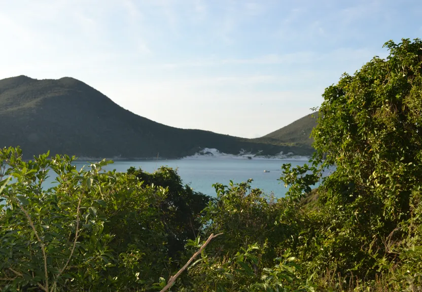 a view of a lake surrounded by trees and mountains