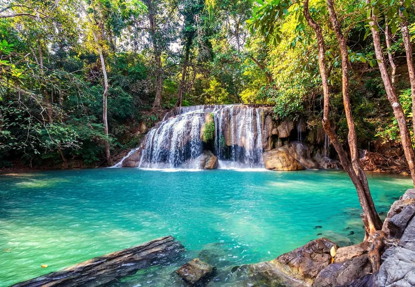 a waterfall in the middle of a river surrounded by trees