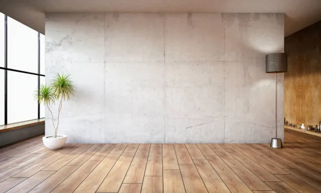 an empty room with a potted plant in the corner