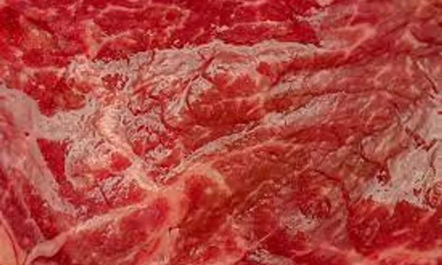 organic throbbing meat texture, realistic, close up,