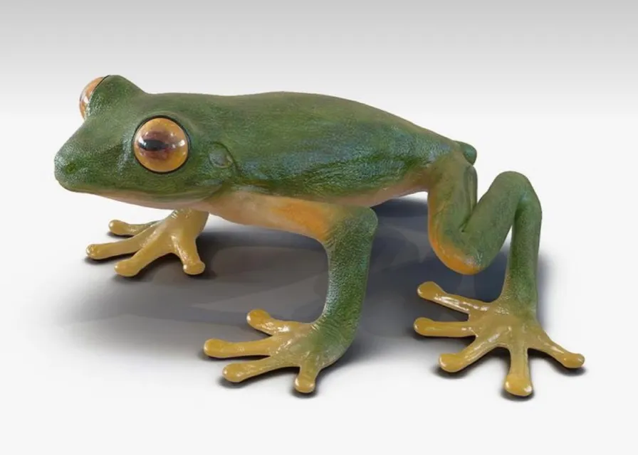a green frog sitting on top of a white surface
