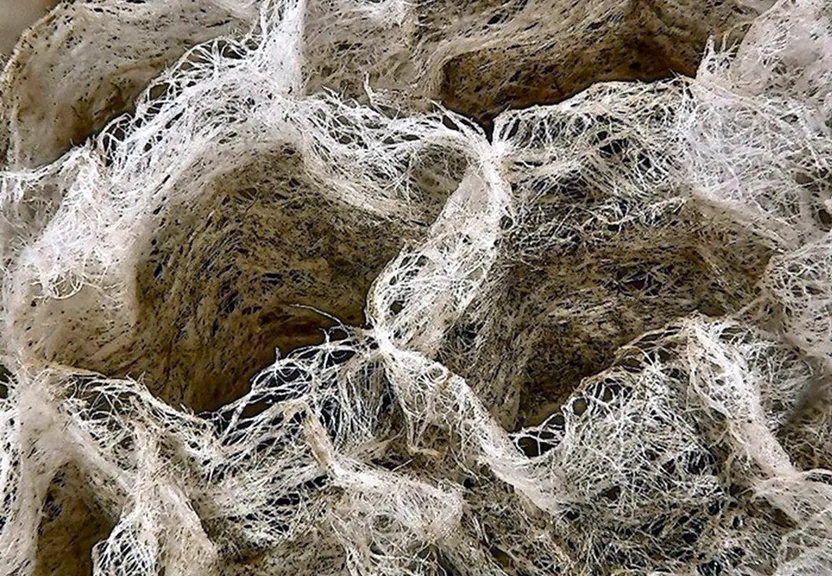 pattern, natural material, rock, event, circle, wind wave, grass, soil, trunk
