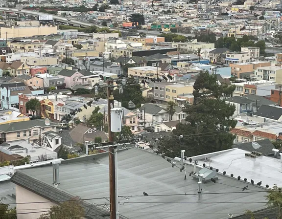 Birds holding a meeting on top of telephone line