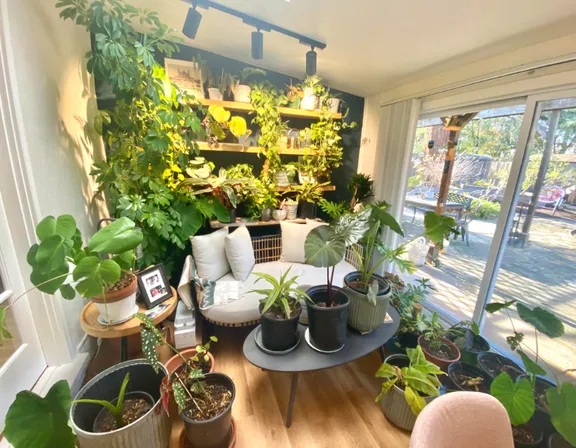 a living room filled with lots of plants. plant, property, houseplant, flowerpot, flower, botany, window, interior design, lighting, terrestrial plant