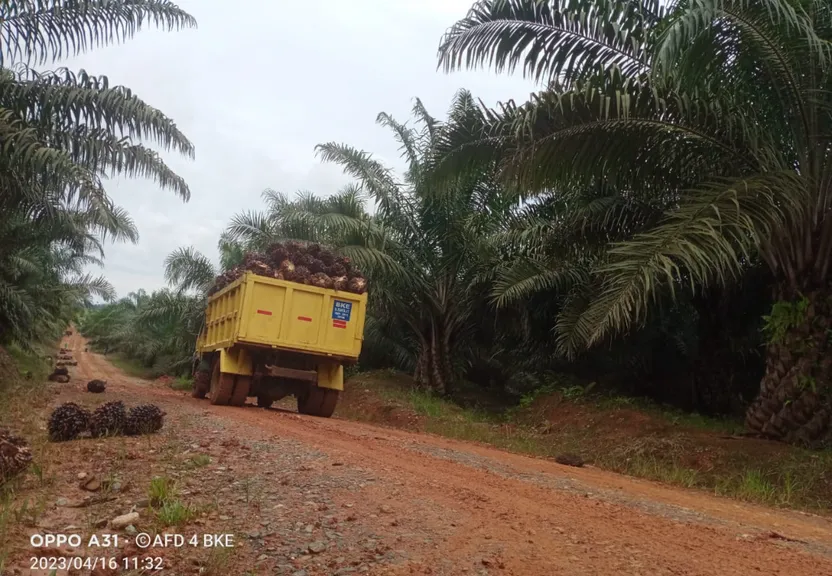 a yellow truck driving down a dirt road