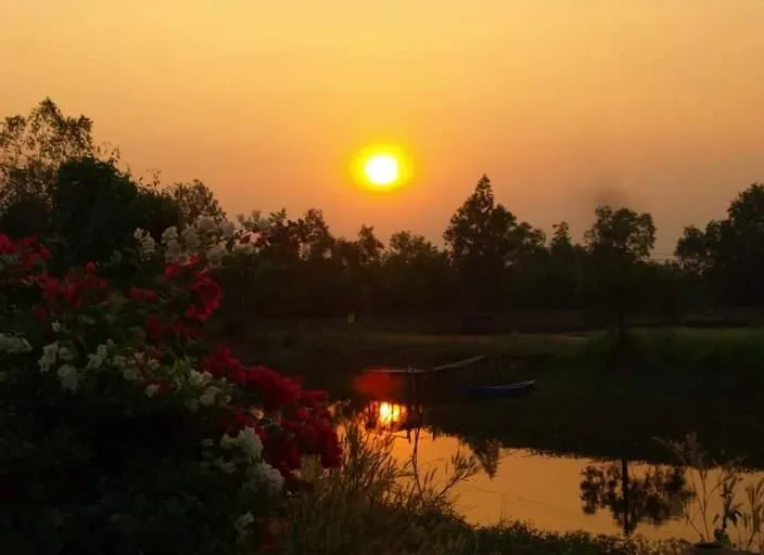 sky, plant, water, light, afterglow, natural landscape, cloud, tree, orange, red sky at morning