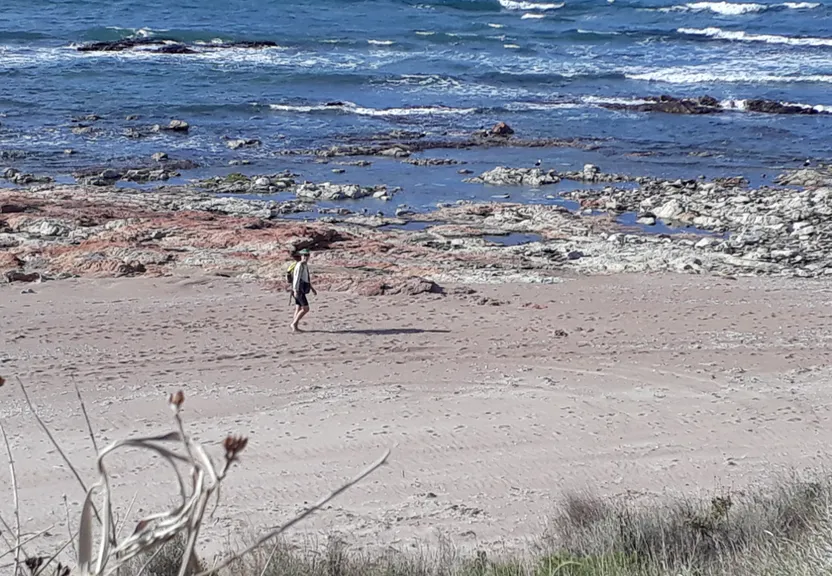 a person walking on a beach near the ocean