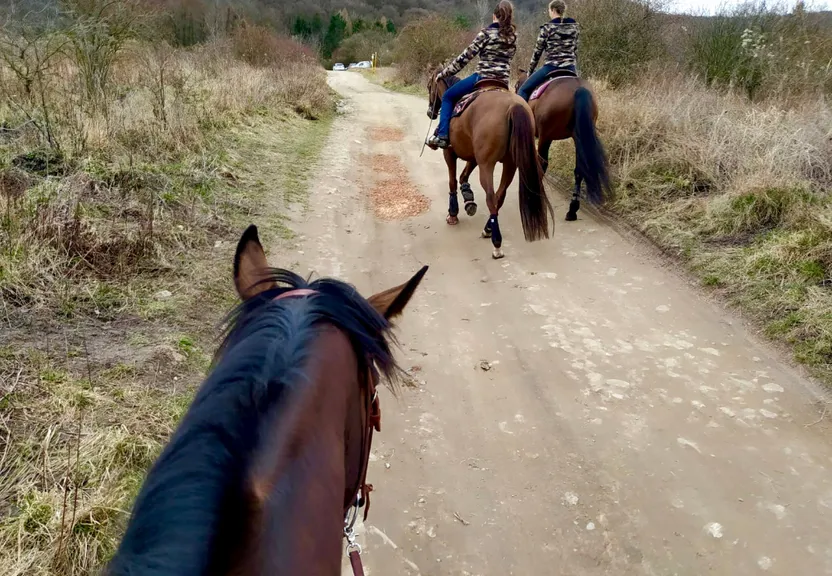 a group of people riding horses down a dirt road