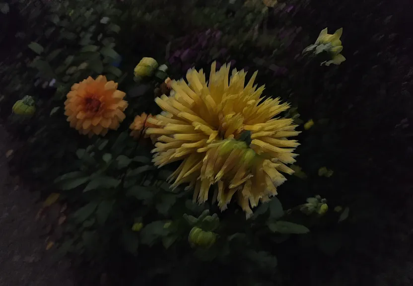 a close up of a yellow and orange flower