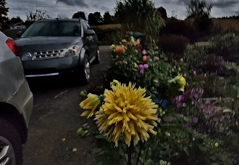 a car parked in a parking lot next to a bunch of flowers