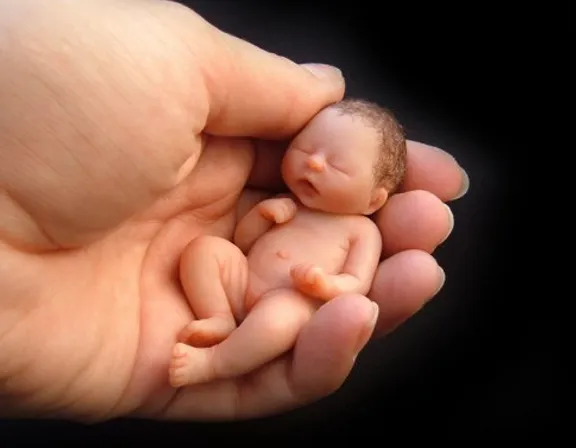 a hand holding a tiny baby doll in it's palm. human body, gesture, finger, thumb, nail, toddler, baby, service, flesh, foot