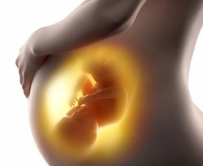 a pregnant woman's stomach with a yellow circle around it