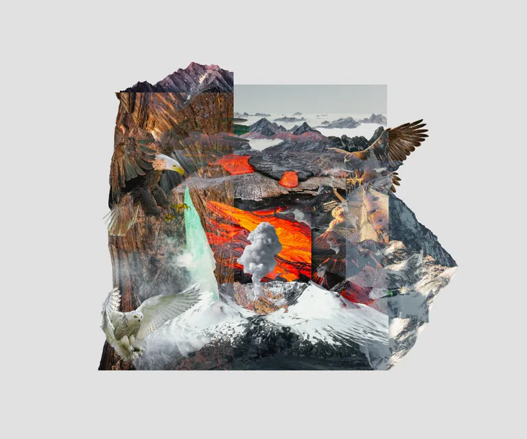 a collage of birds flying over a mountain