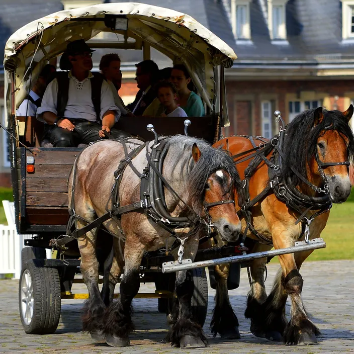 a group of people riding in a horse drawn carriage