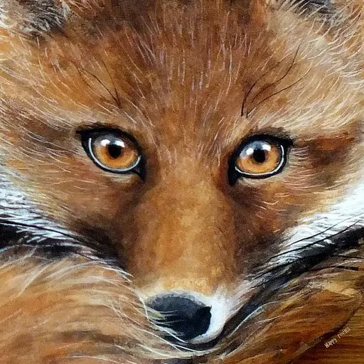 a close up of a red fox's face. hair, head, eye, red fox, carnivore, whiskers, fox, felidae, fawn, terrestrial animal