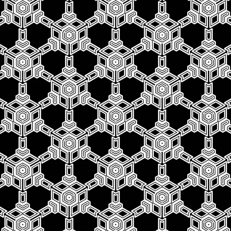 a black and white geometric pattern. white, black, organism, textile, font, art, line, symmetry, pattern, circle