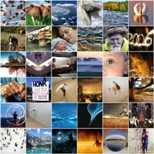 A collage of pictures of people and animals.