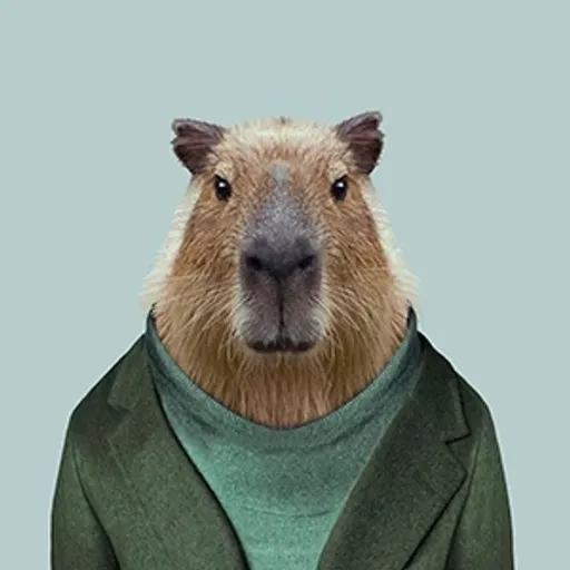 a close up of a capybara wearing a green jacket