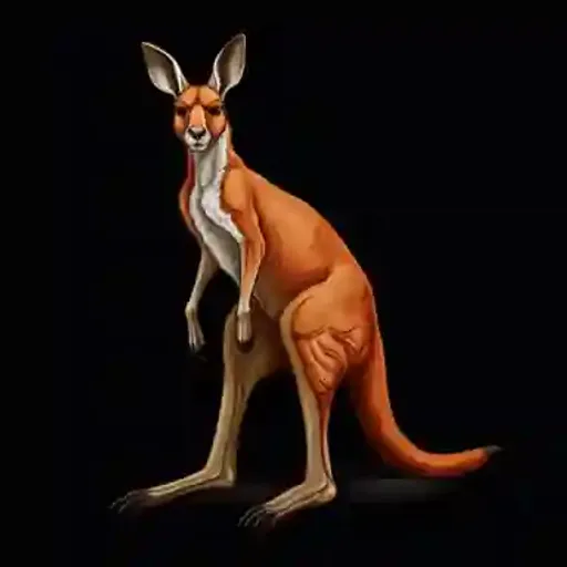 a picture of a kangaroo on a black background