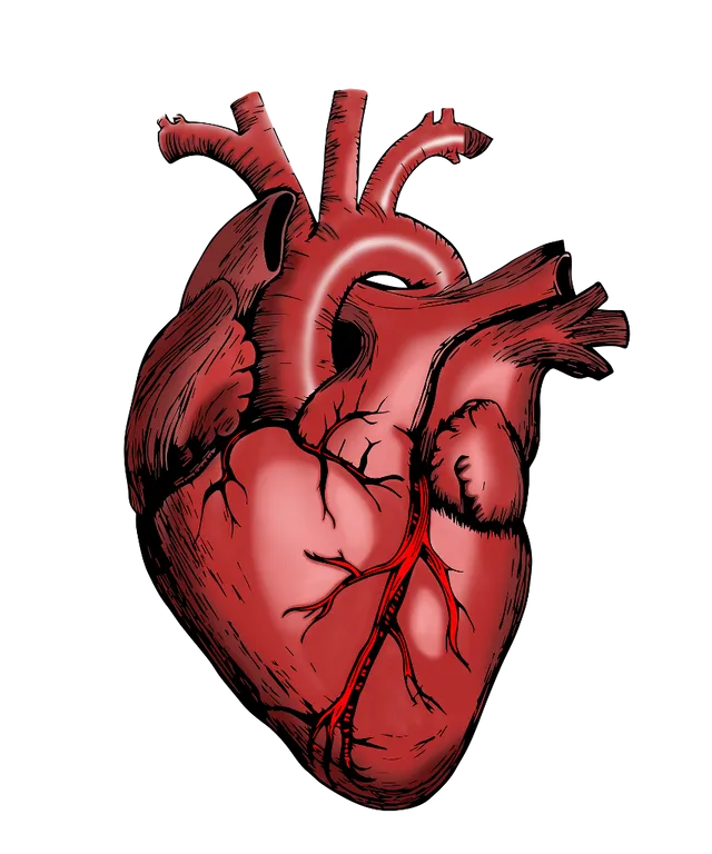 a drawing of a heart on a black background