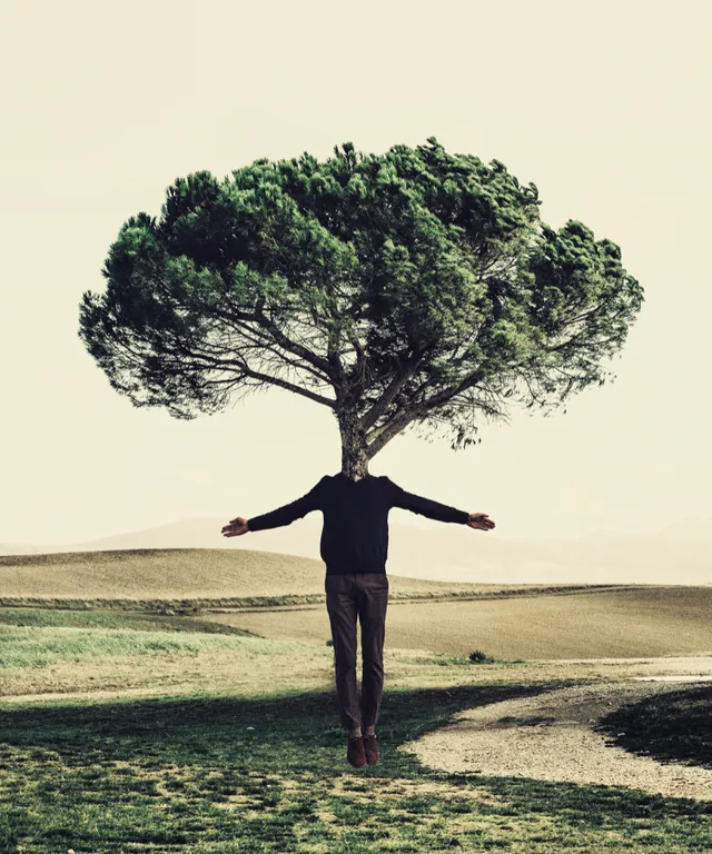a man standing under a tree in a field
