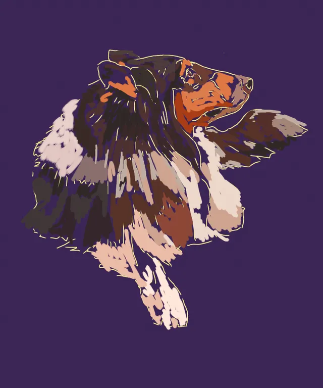 a dog that is flying through the air