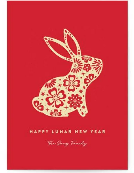 a red card with a white rabbit on it. rabbit, rectangle, textile, rabbits and hares, hare, art, fawn, font, sleeve, magenta