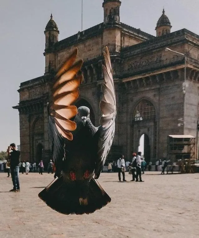 a bird with its wings spread out in front of a building