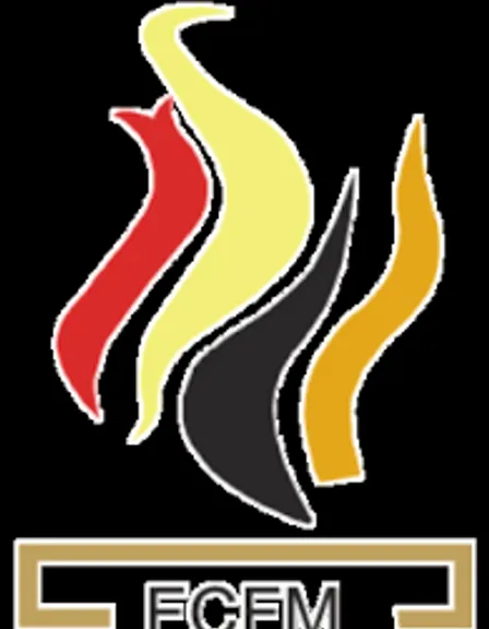 the ecfm logo