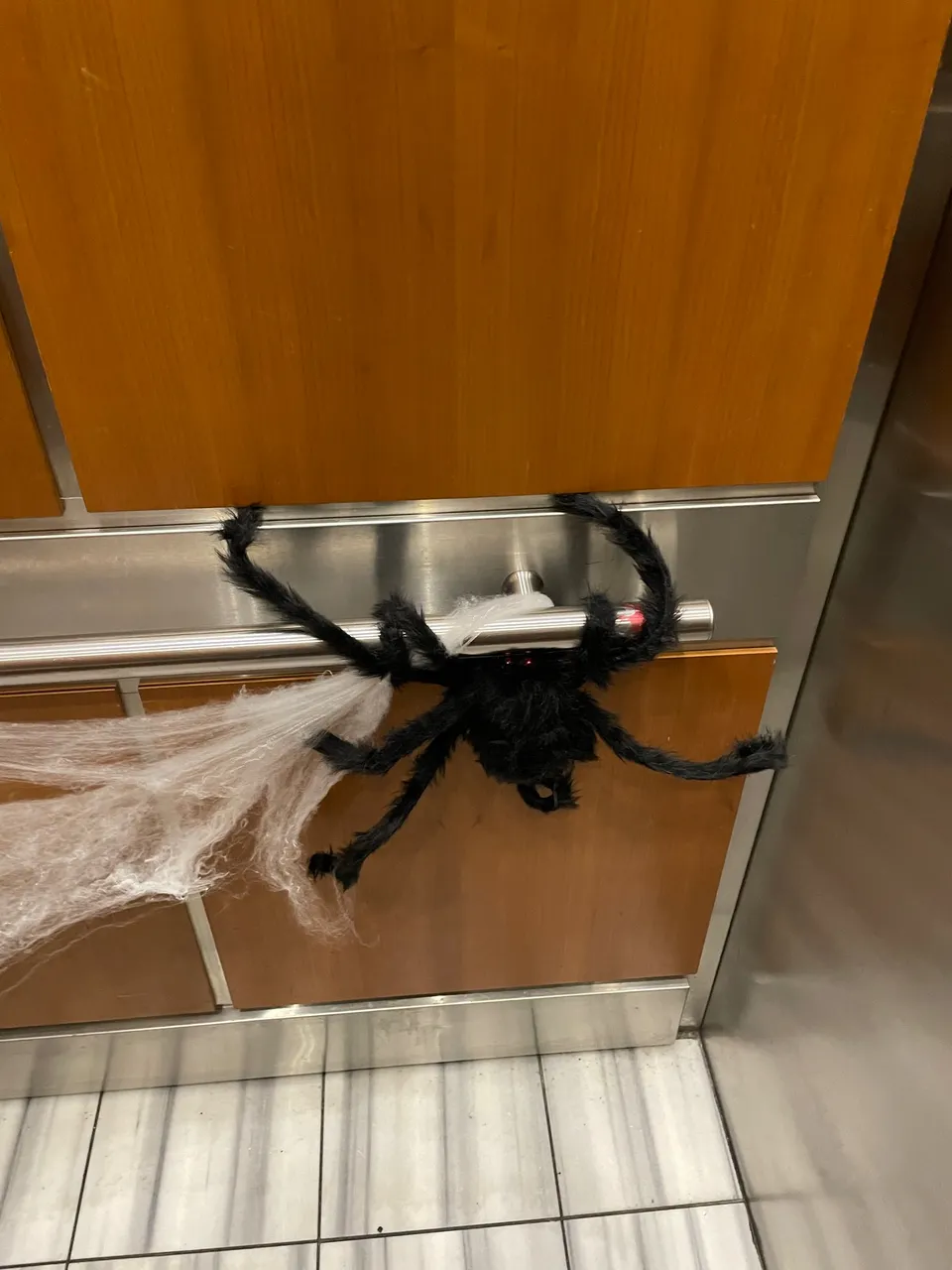 a large black and white spider hanging from a door