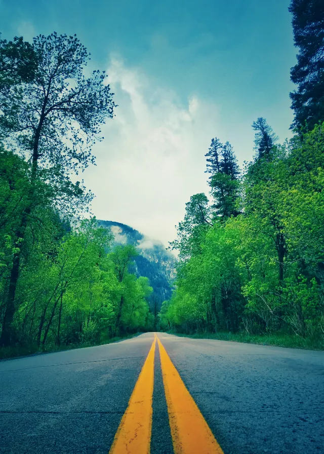 sky, cloud, natural landscape, road surface, leaf, infrastructure, asphalt, sunlight, thoroughfare, vegetation