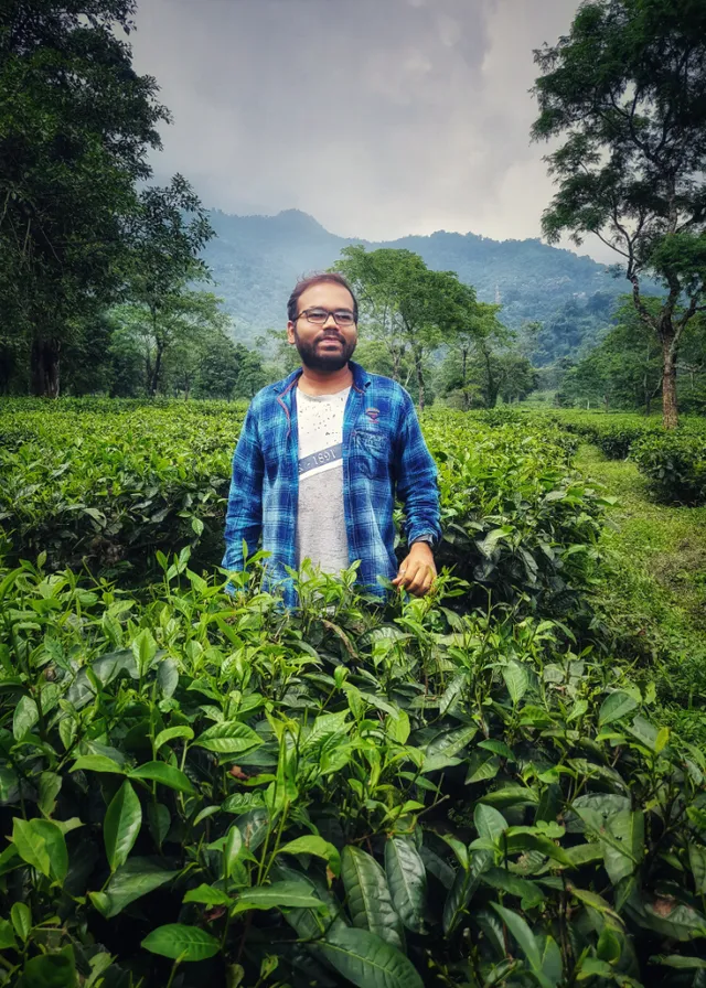 a man standing in a field of tea bushes