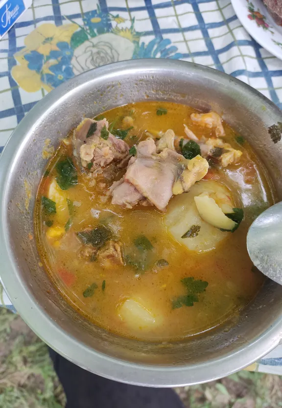 A bowl of apple cider and meat and vegetables. Change the soup to a bowl of apple cider