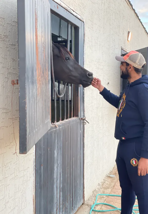 a man is petting a horse through a window