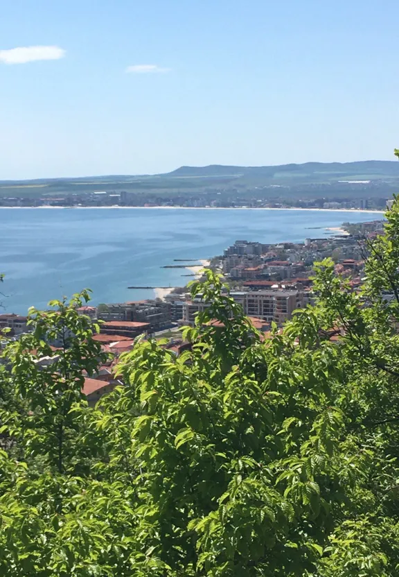 a view of a city and a body of water