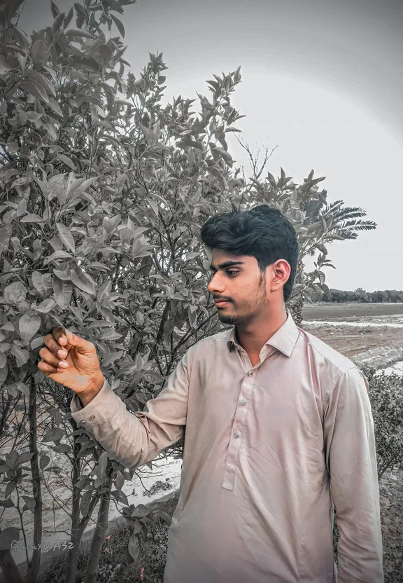 a man standing in front of a tree