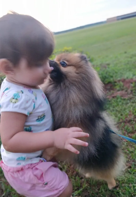 a small child is holding a small dog