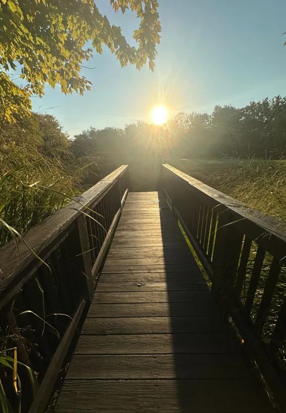 a wooden bridge with the sun shining through the trees