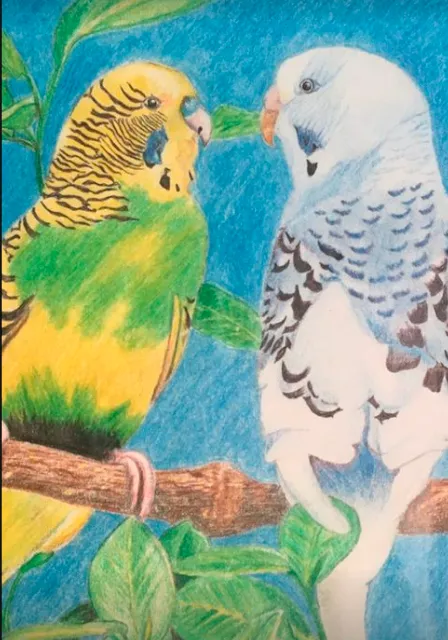 a drawing of two birds sitting on a branch que se combiertan en una agila y una serpiente