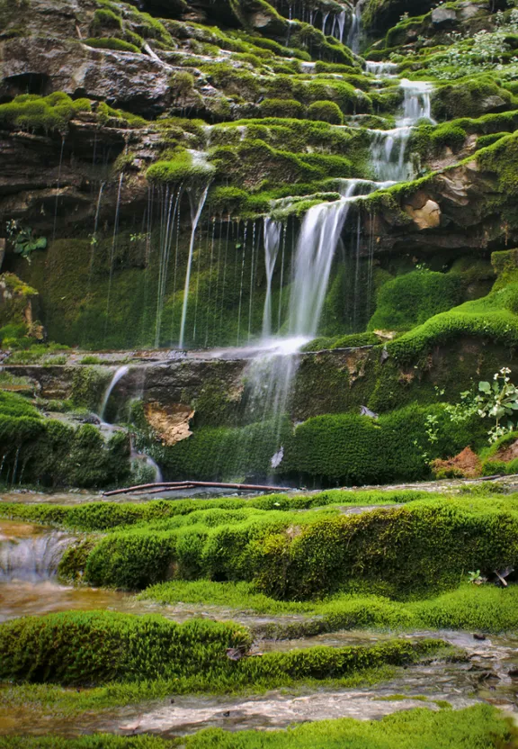 A Falls with Green Moss Growing on Its Side by Karen Cheng. make the moss green and the waterfall blue